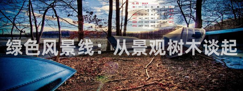 新宝gg 1980:绿色风景线:从景观树木谈起