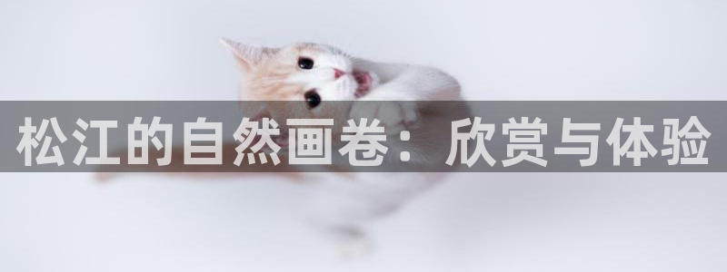 新宝GG桌面:松江的自然画卷:欣赏与体验