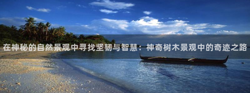 新宝gg娱乐注册全芏网:在神秘的自然景观中寻找坚韧与智慧:神奇树木景观中的奇迹之路