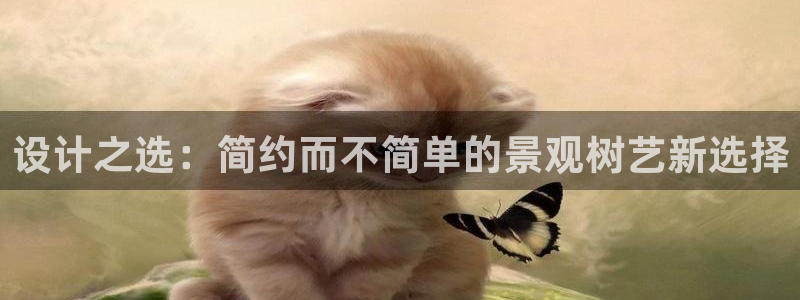 新宝gg体彩:设计之选:简约而不简单的景观树艺新选择